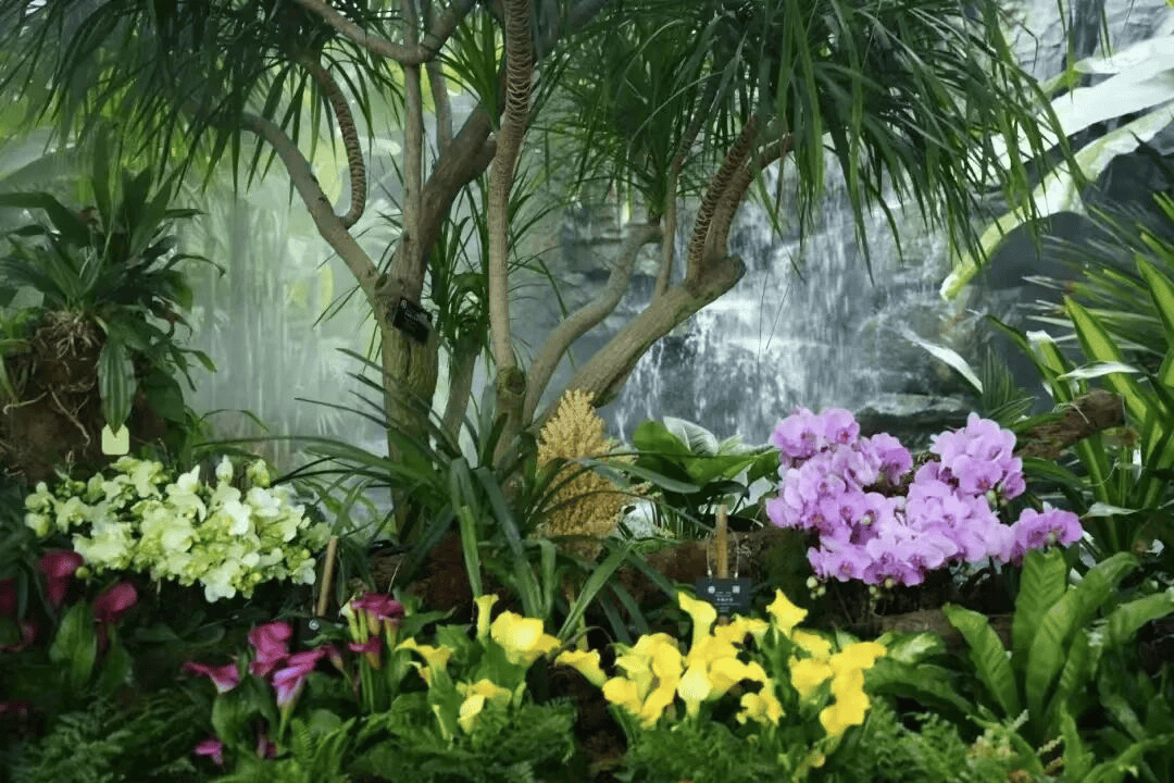 抓福猪、逛雪乡……过个热气腾腾烟火年！开元棋牌长沙春节攻略丨来雨花！遛萌娃、(图4)